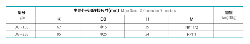 cryogenic strainer valve ¹˷