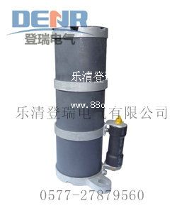 供应RXQ-35D,RXQ-20D一次消谐器