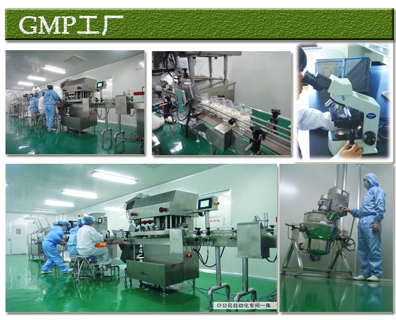 gmp1