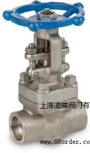 OPWڶ͸բ