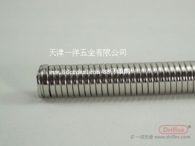 ˫