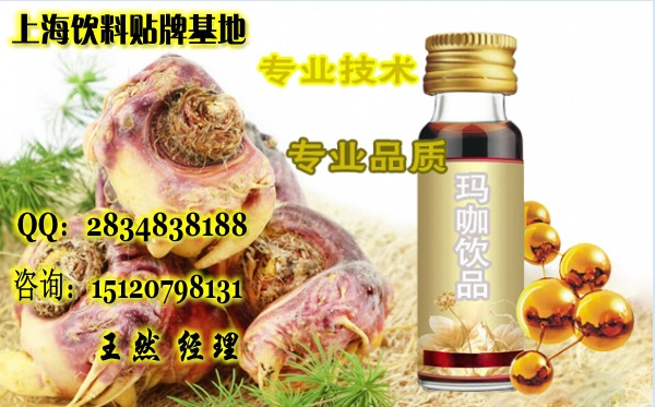 꿧2_conew1